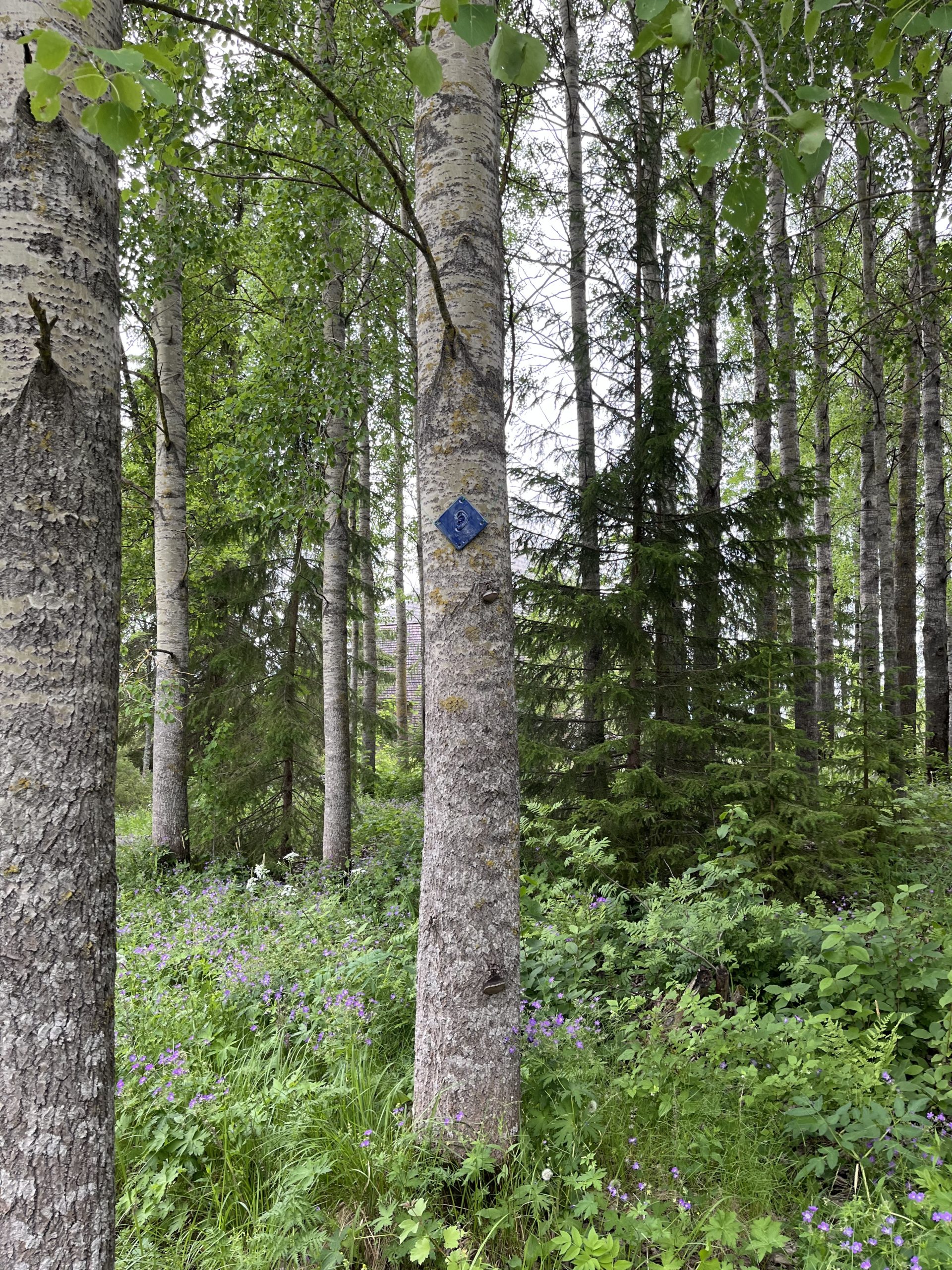 Kärsämäen ekouteria