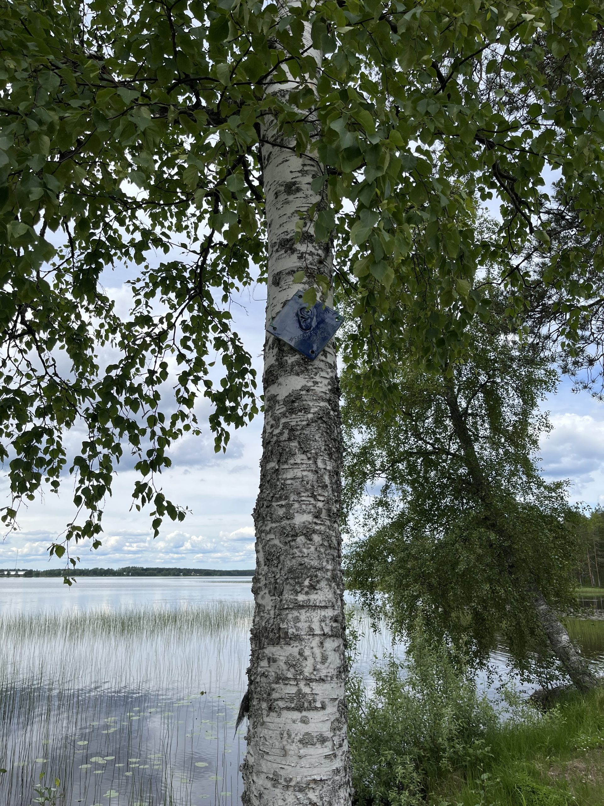Pyhännän ekouteria