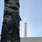 Tyrnävän ekouteria