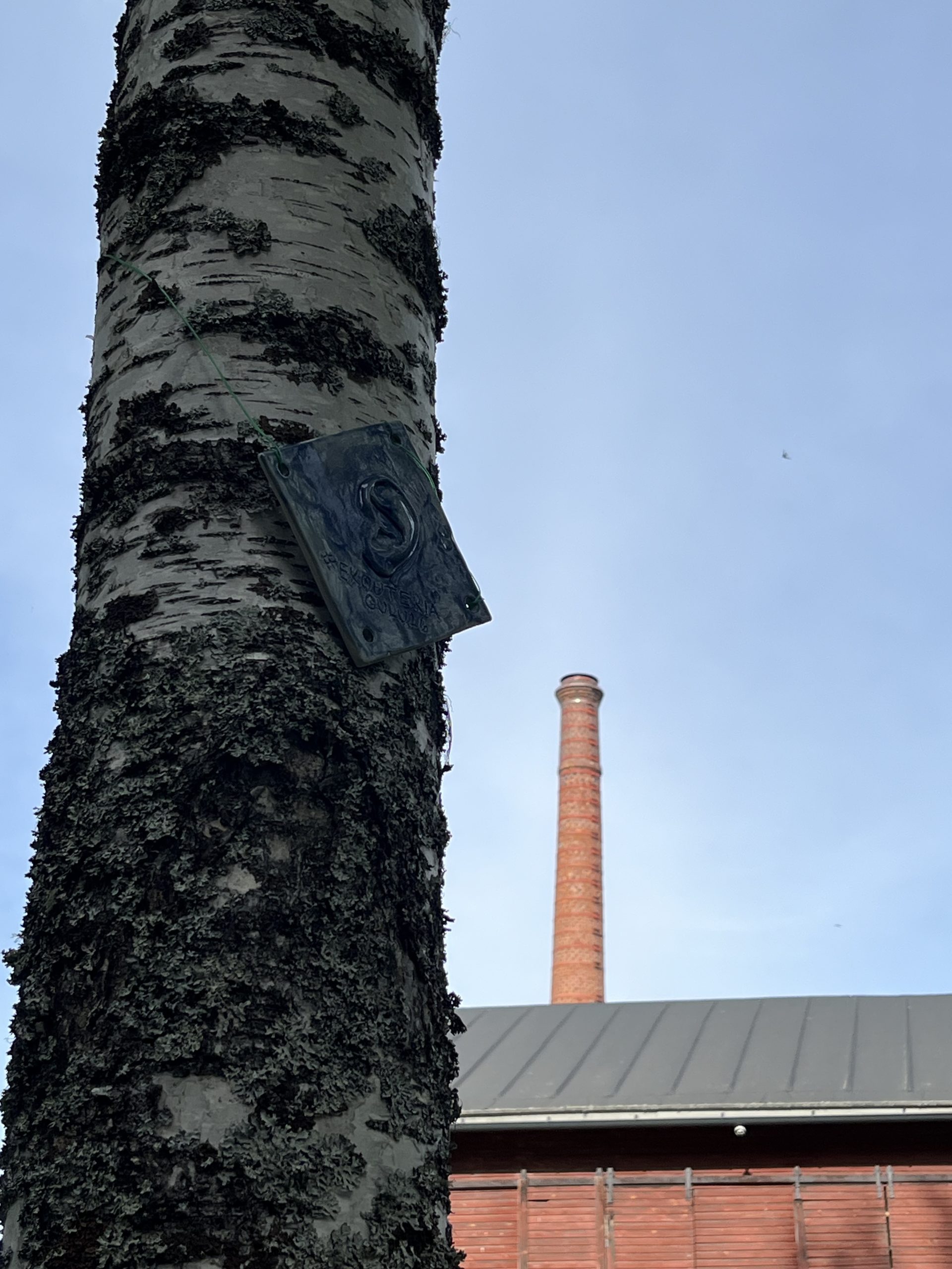 Tyrnävän ekouteria