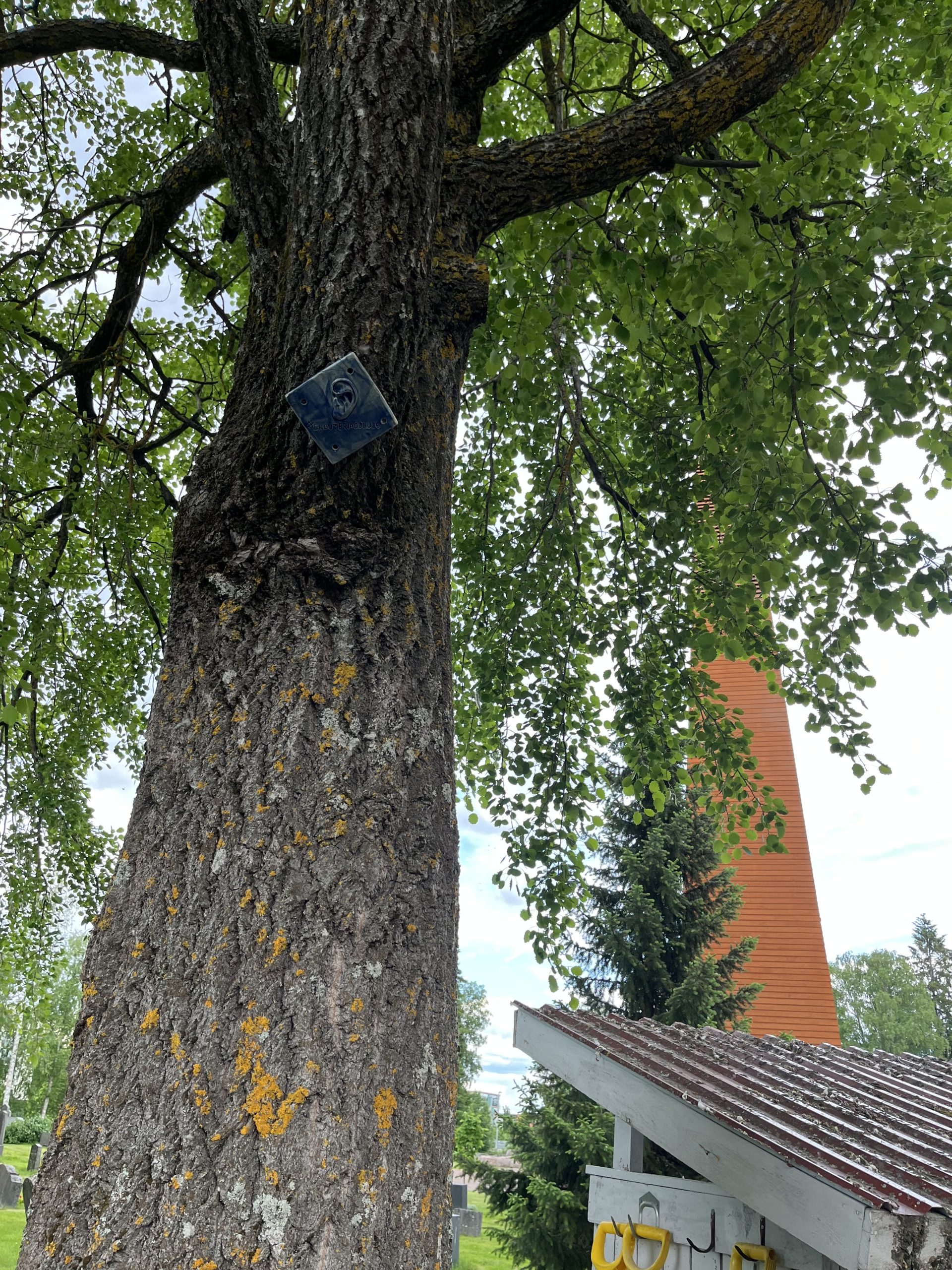 Ylivieskan ekouteria