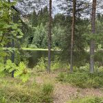 Kajaanin ekouteria