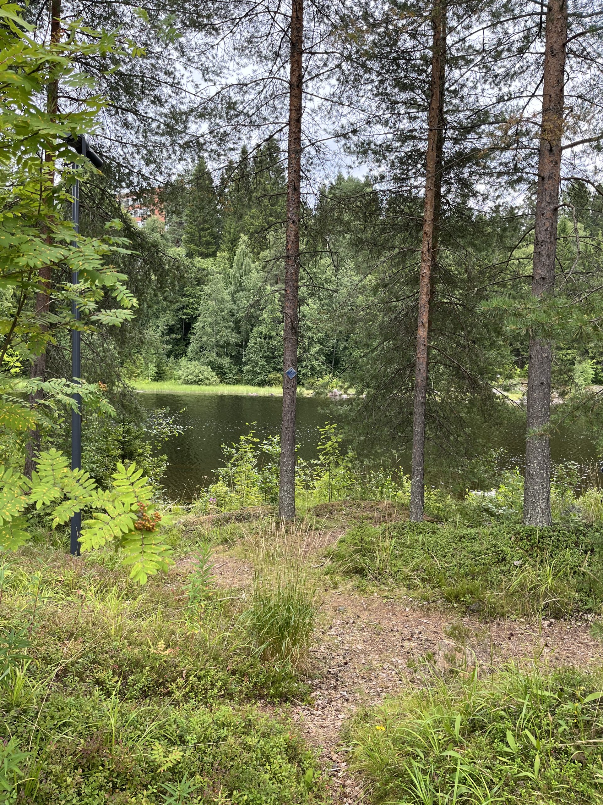 Kajaanin ekouteria