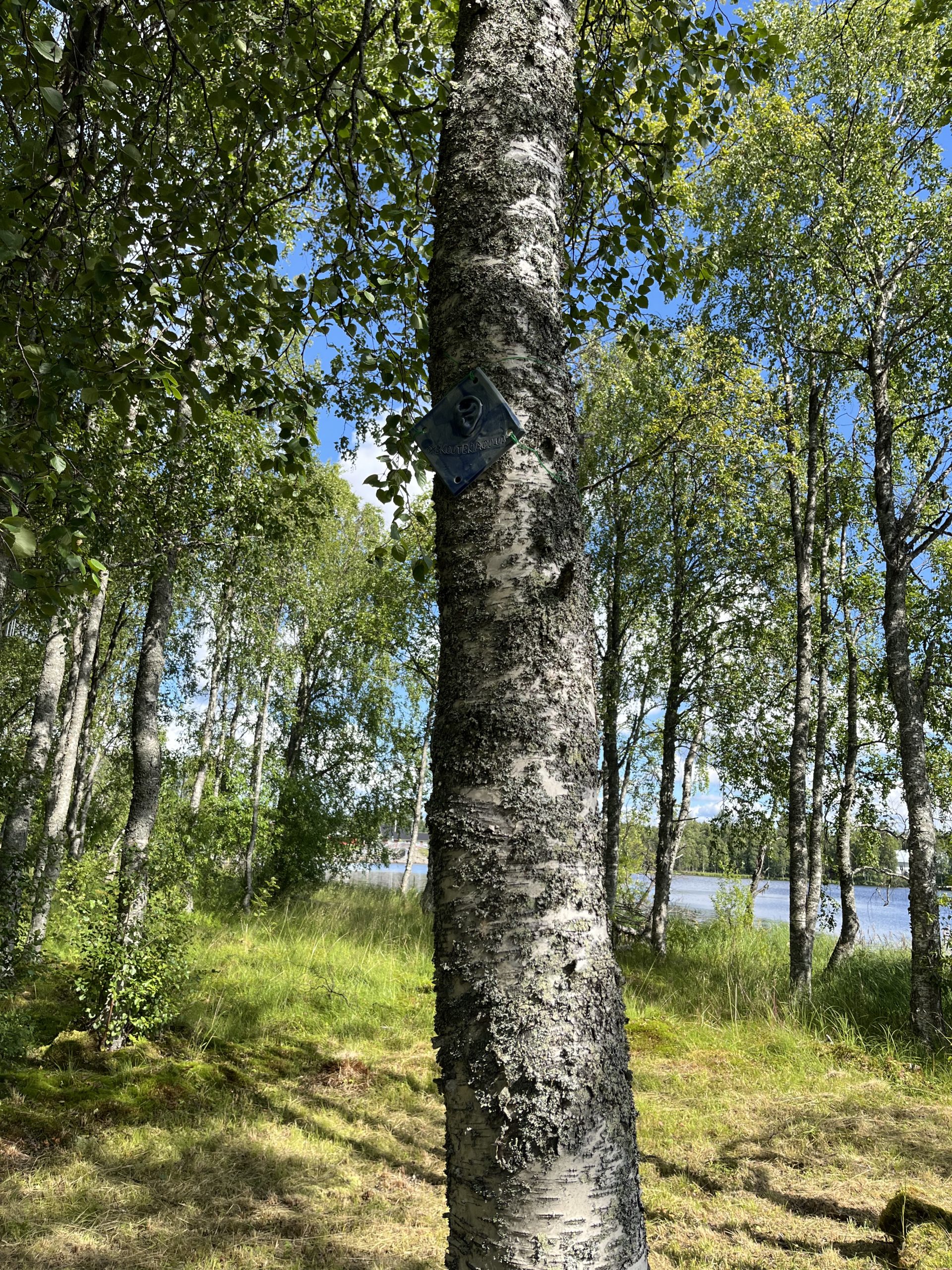 Kuusamon ekouteria