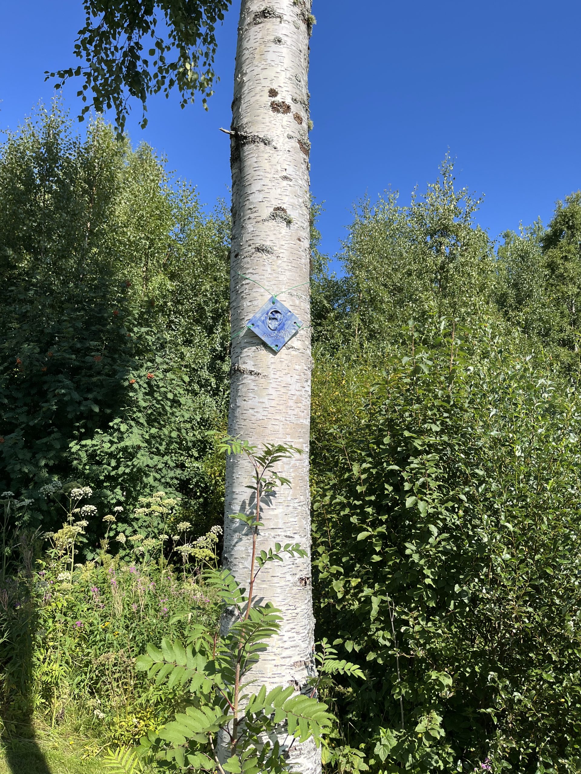 Lumijoen ekouteria