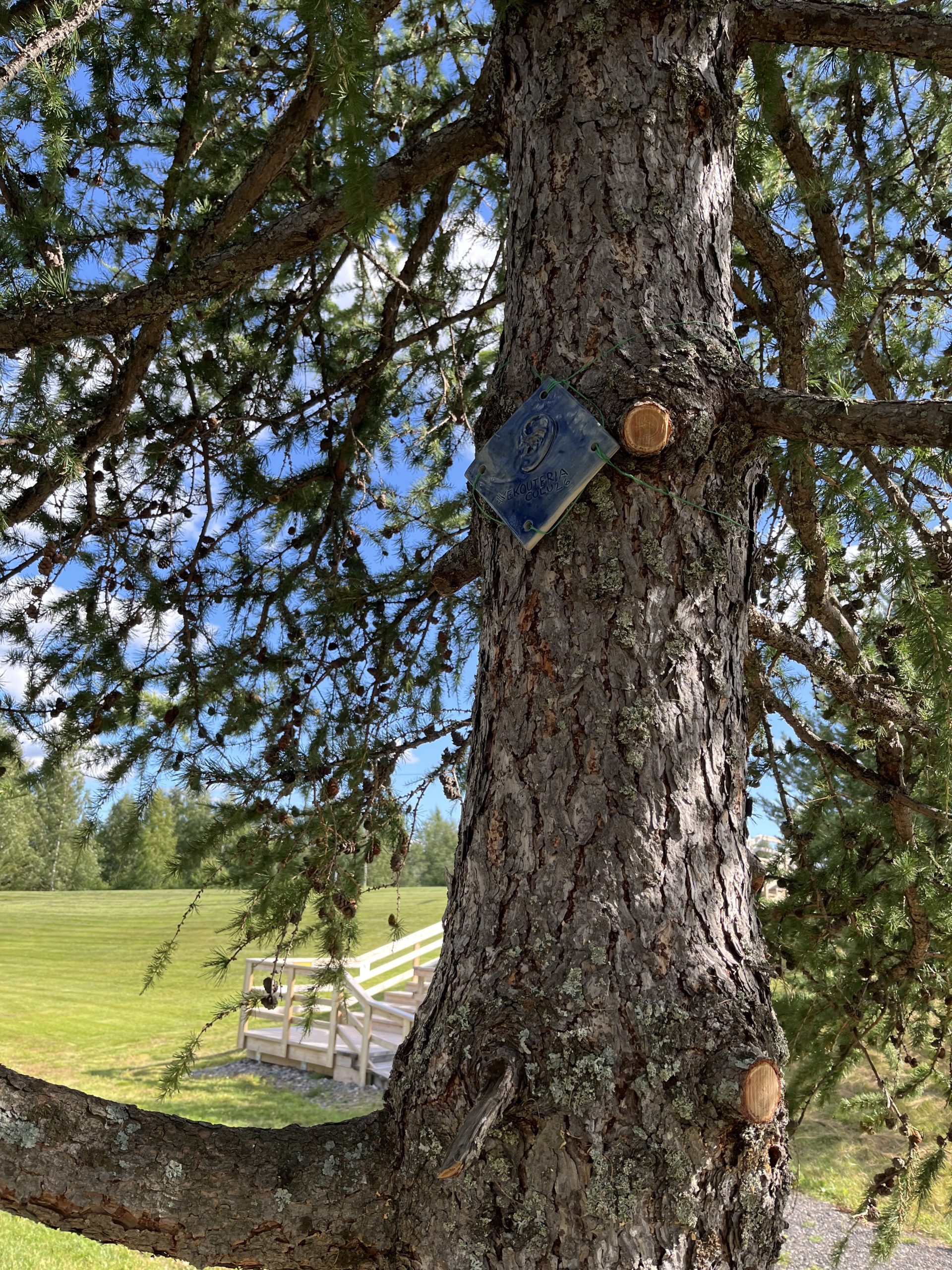 Pudasjärven ekouteria