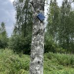 Ristijärven ekouteria