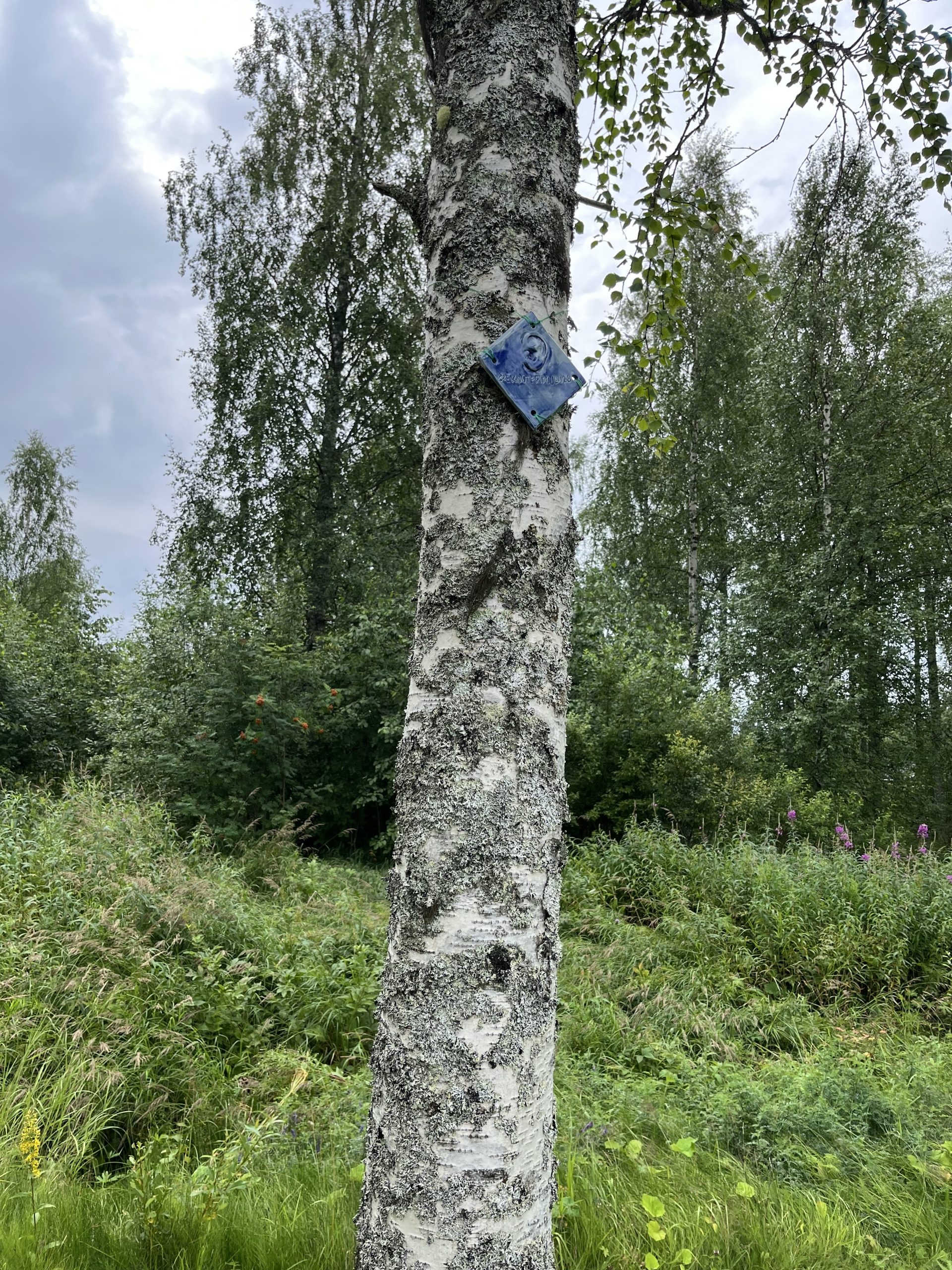 Ristijärven ekouteria