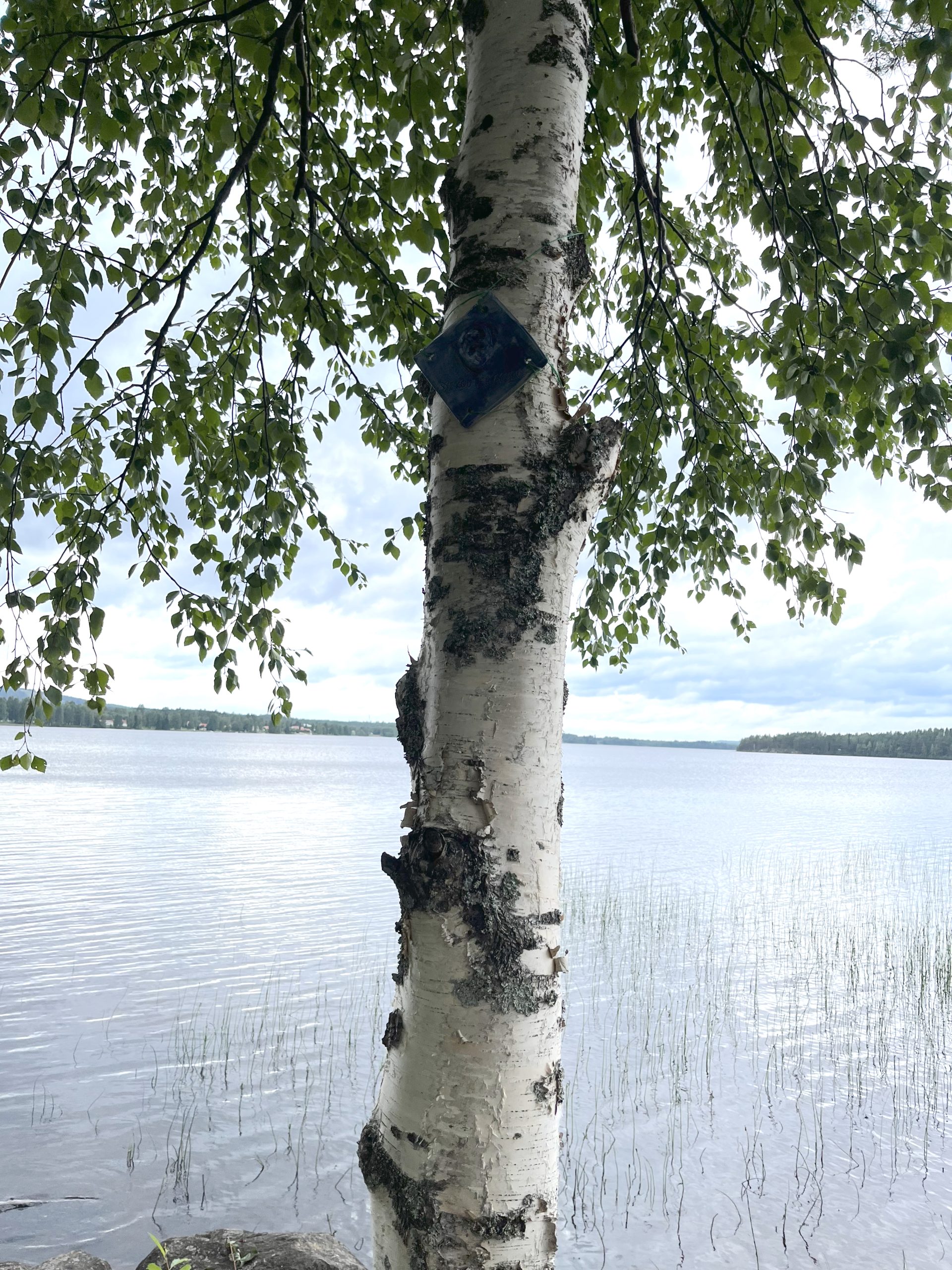 Sotkamon ekouteria