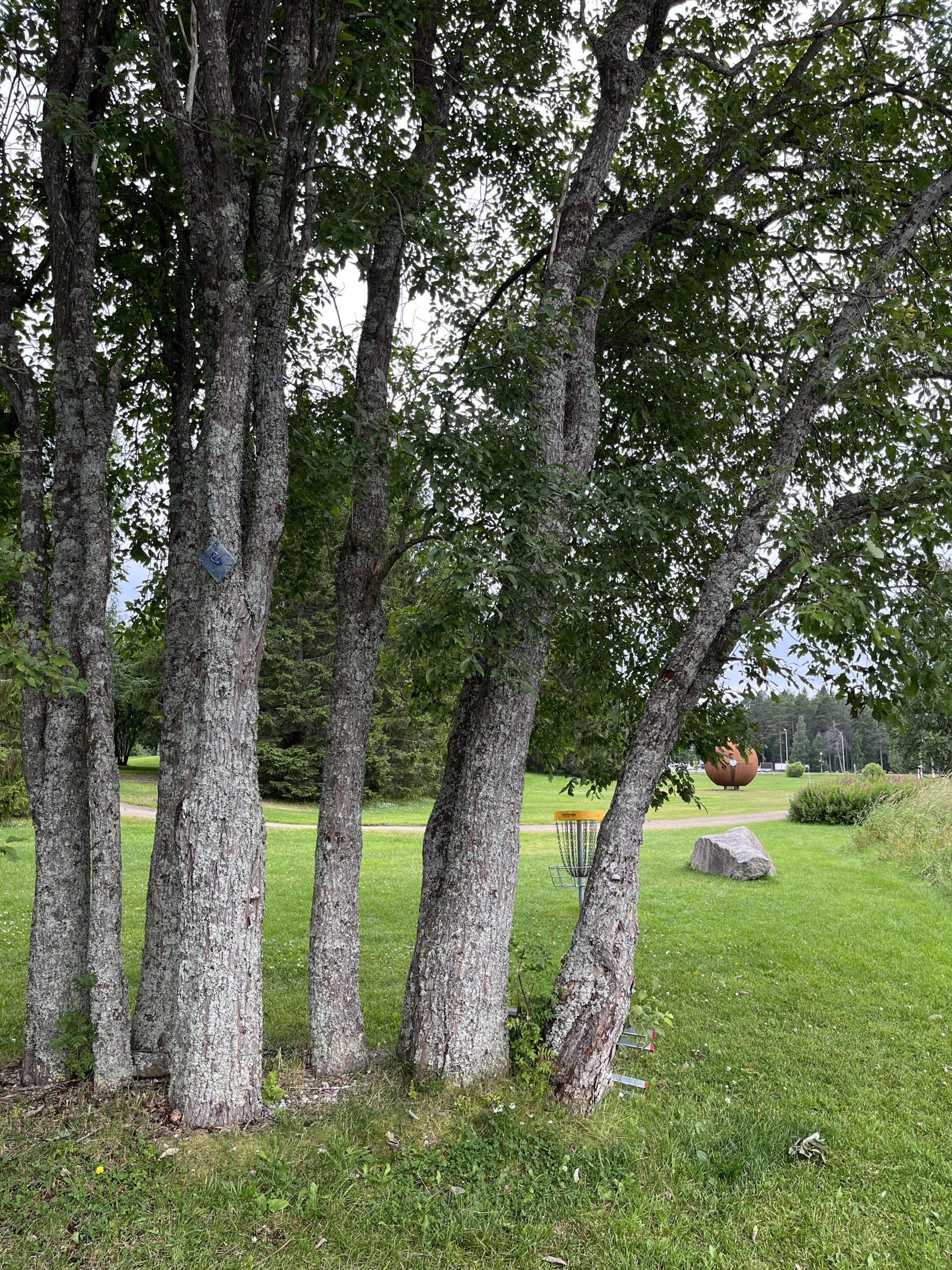 Suomussalmen ekouteria