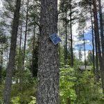 Taivalkosken ekouteria