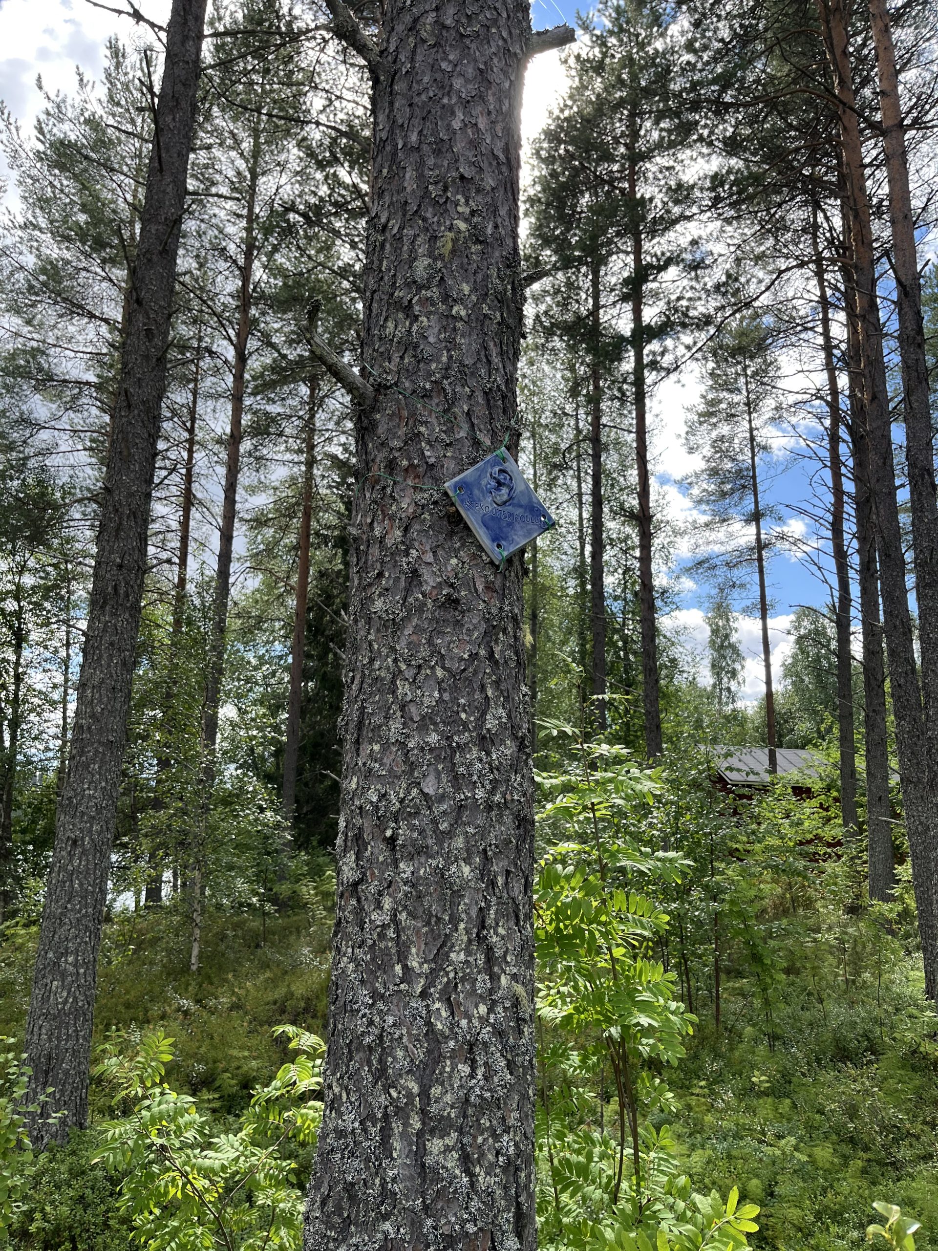Taivalkosken ekouteria